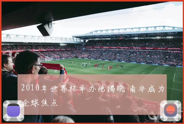 2010年世界杯举办地揭晓 南非成为全球焦点