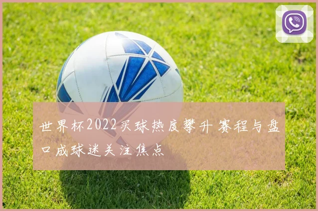 世界杯2022买球热度攀升 赛程与盘口成球迷关注焦点